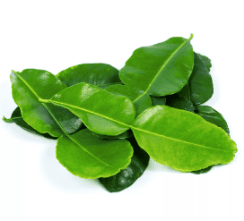 Kaffir Lime Leaf