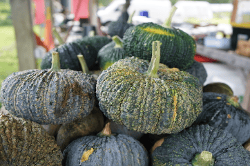 Thai Pumpkin