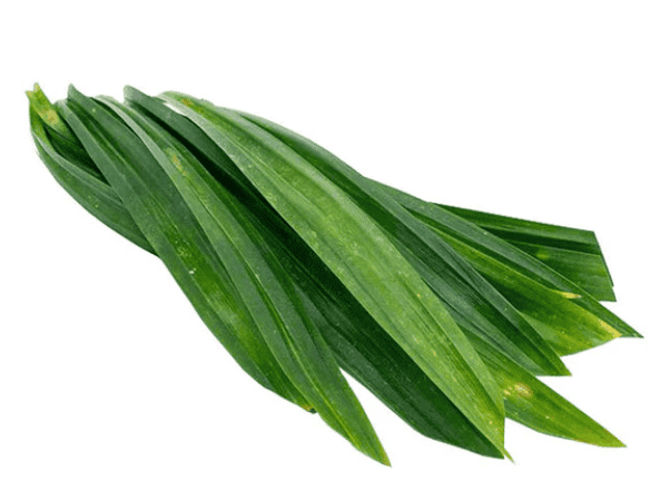 pandan leaves