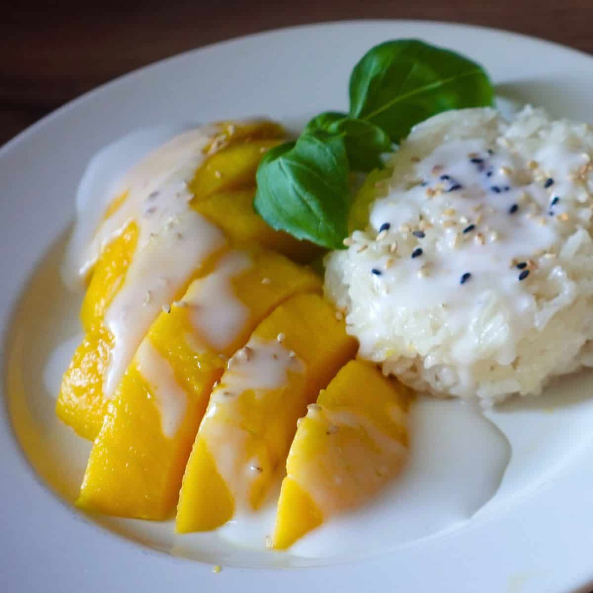 Mango sticky rice thai dessert plating on a white plate with coconut dipping sauce