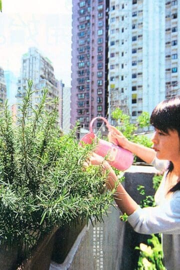 Bonnie Yves 飲食男女 香草人自白