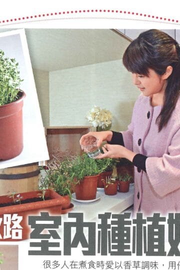 Bonnie Yves 達人教路 室內種植妙法