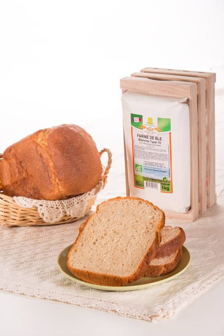 Basic Bread Recipe