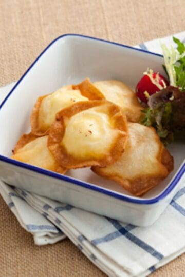 Cheese Won Ton